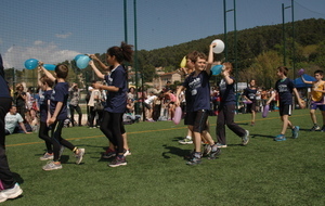 Animation Eveil Poussin 