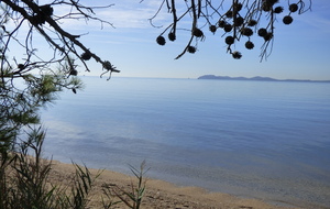 Sortie Marche Nordique Porquerolles