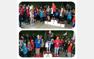 Animation Eveils poussins