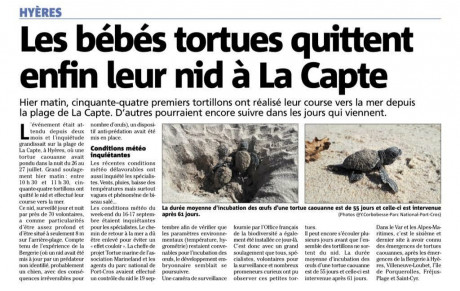 Rencontre  insolite sur la plage de la capte